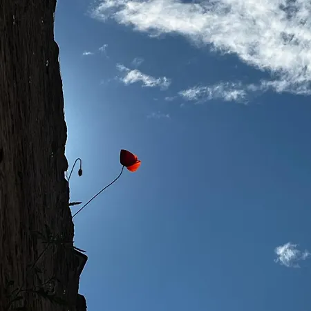 شقة Corte Dei Cavalieri